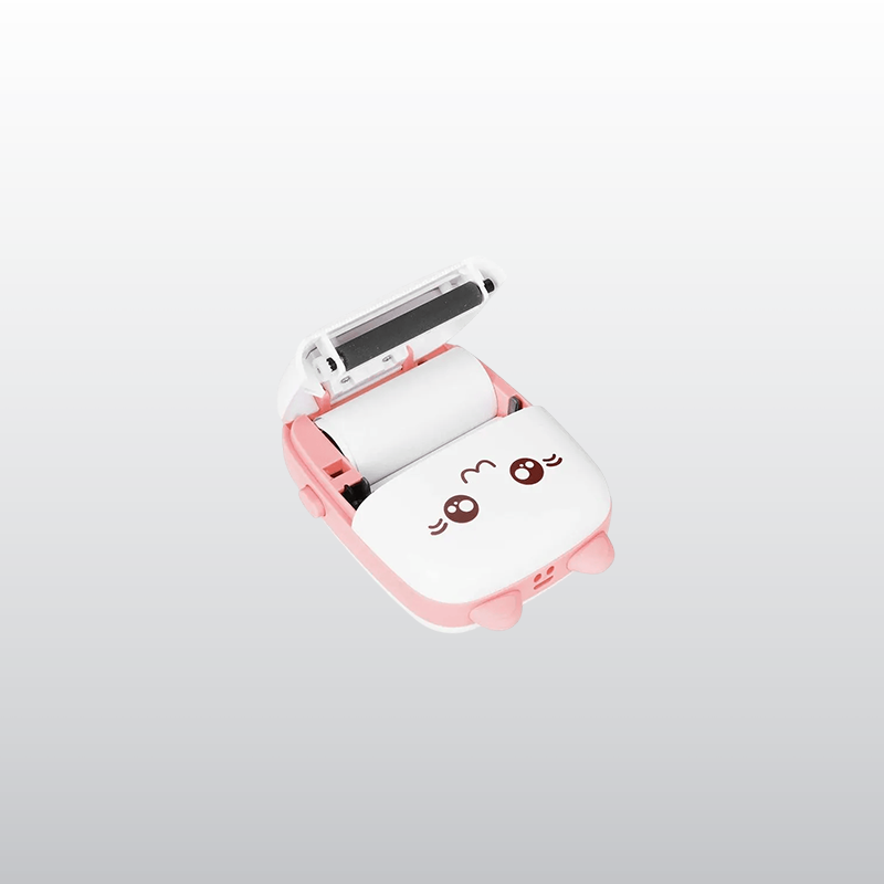 Mini Impresora Térmica